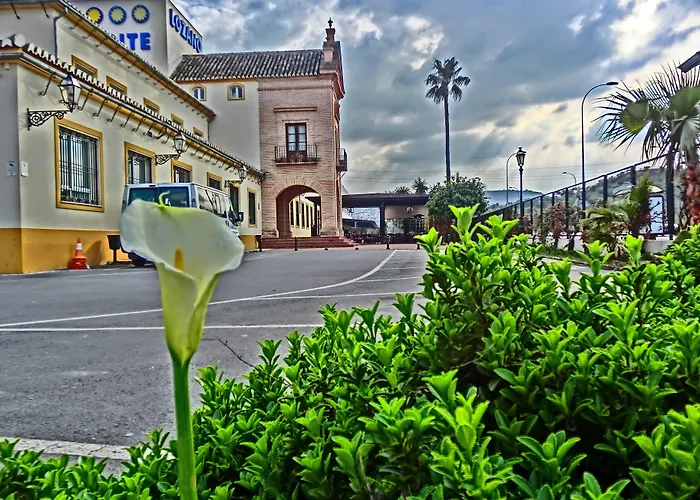 Hotel Lozano
